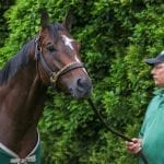 Preakness Profiles: Win Win Win