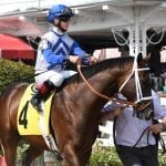 Preakness Memories: Sunday Silence, the unwanted, unlucky champ