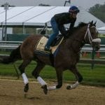 Preakness Profiles: Improbable
