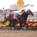 Dottie Miller’s Preakness week photo diary: Thursday