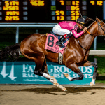 Catching up with the Preakness contenders