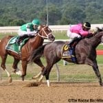 Knicks Go named Md-bred Horse of the Year