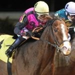 Monday Morning Qb may seek Withers score