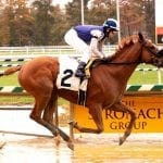 War of Will leader in NTRA Top Thoroughbred Poll
