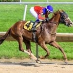 Free general admission announced at Colonial Downs