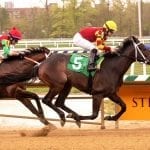 Two decades on, memories of Victory Gallop still resonate