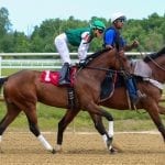 Bricks and Mortar remains atop NTRA Top Thoroughbred Poll