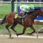 Parisian Diva set to represent home team in CT Oaks