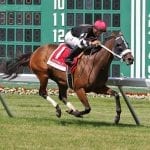 Pimlico redo bill takes first step towards passage