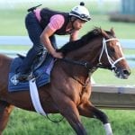 Colonial Downs cancels Friday card