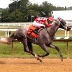 Delaware Park 2019 horses to watch: July 8
