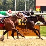 Gonzalez sends out Lebda for the Haskell