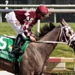 Delaware: Stolen horses, unlicensed participants, and more from stewards