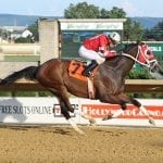 Hello Beautiful, Gifted Heart impress in Laurel Park scores