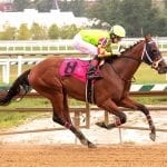 MATCH Series: Top 2019 rivalry to determine champion