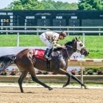 Moments Notiz, Cherokee Blessing strike blows for elderly set