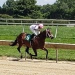 Haskell draws 33 nominations