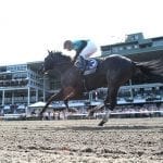 Yes This Time scores in G3 Kent