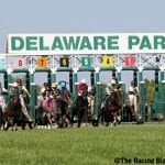 From the Spa: August 21 Midlantic-breds in Saratoga stakes