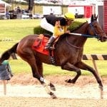 Md Stadium Authority awards Pimlico project design contract