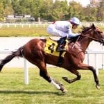 From the Spa: August 2 Midlantic-breds in Saratoga stakes