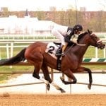 Pimlico negotiations going well, Commission told, but details are scarce