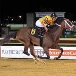 G1 winner Force the Pass retired to stud in Maryland