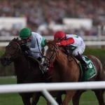 What to expect at Timonium 2019