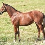 Mid-Atlantic racing roundup, August 20