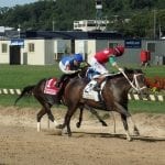 Delaware Commission upholds one-year ban for Vitali