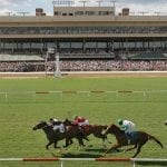 Book’em Danno repeats as NJ-bred horse of the year