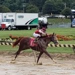 Wootton Asset seeks first US win in G3 Kent