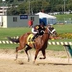 Smarty Jones, new stallion, and more: The week in social media