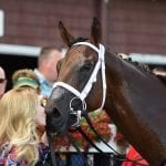 Two-time winner So Street heads Rosie’s Stakes