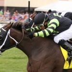 That’s a wrap: Timonium 2019 roundup