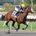 With Horologist, racing odd couple finding “perfect marriage”
