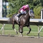 New Maryland riding crop rules paying quick dividends