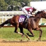 Fasig-Tipton yearling sale: 10 hips to watch