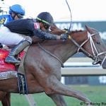 Trainer Duarte back from coronavirus