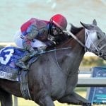 Grade 1 winner Sharing retired