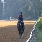 Maryland Commission tightens riding crop rule