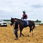 Bricks and Mortar remains atop NTRA Top Thoroughbred Poll