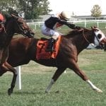 Raging Whiskey is first stakes winner for sire Bourbon Courage