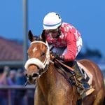 Mid-Atlantic racing roundup, November 6