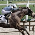 Beren may point to G2 Amsterdam