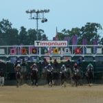 Delaware Commission upholds one-year ban for Vitali