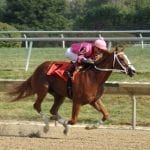 Shimmering Aspen retired after repeat Owners’ Day score