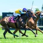 25 hips added to Fasig-Tipton Midlantic yearling sale