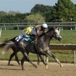 Pink Caddy revs up flashy score in Small Wonder