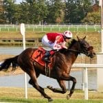 Shimmering Aspen retired after repeat Owners’ Day score